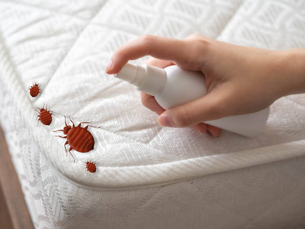 Best Emergency Pest Control  in Wakefield, VA